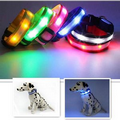 Lighting up dog collar